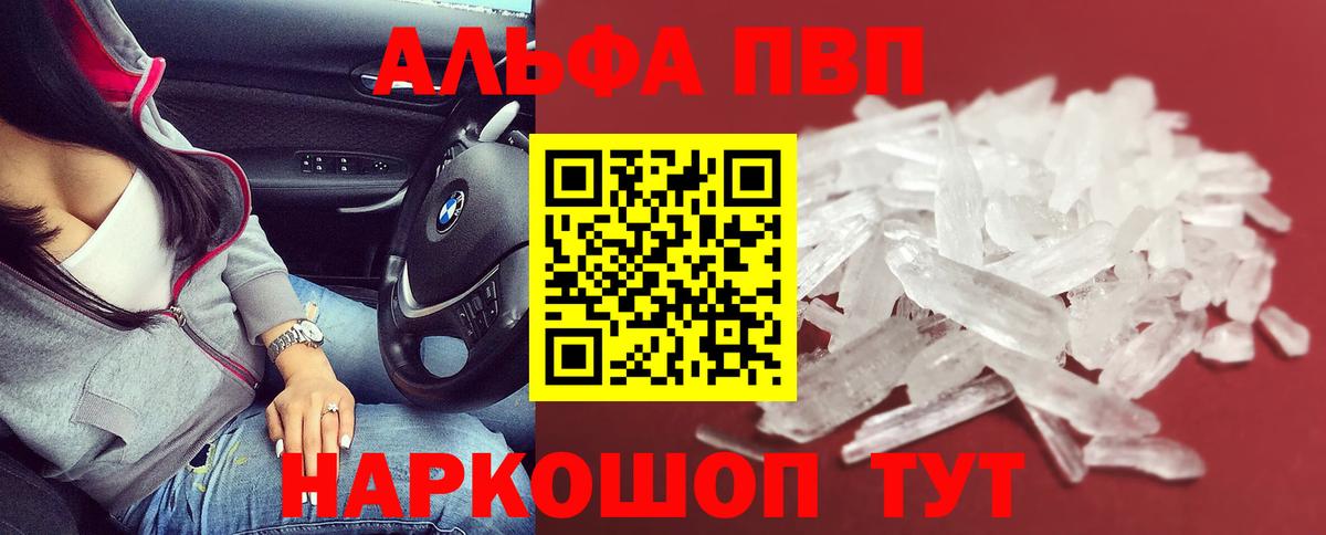 A-PVP СК Анжеро-Судженск