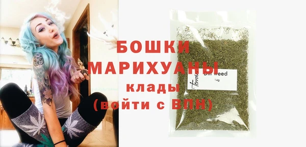 гидра Новозыбков