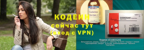 гидра Новозыбков