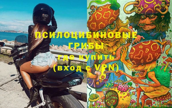 экстази Дмитров