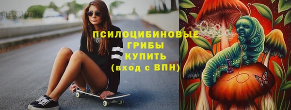 прущие грибы Нефтекумск