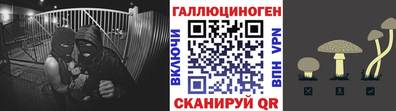 что такое Анжеро-Судженск Псилоцибиновые грибы MAGIC MUSHROOMS