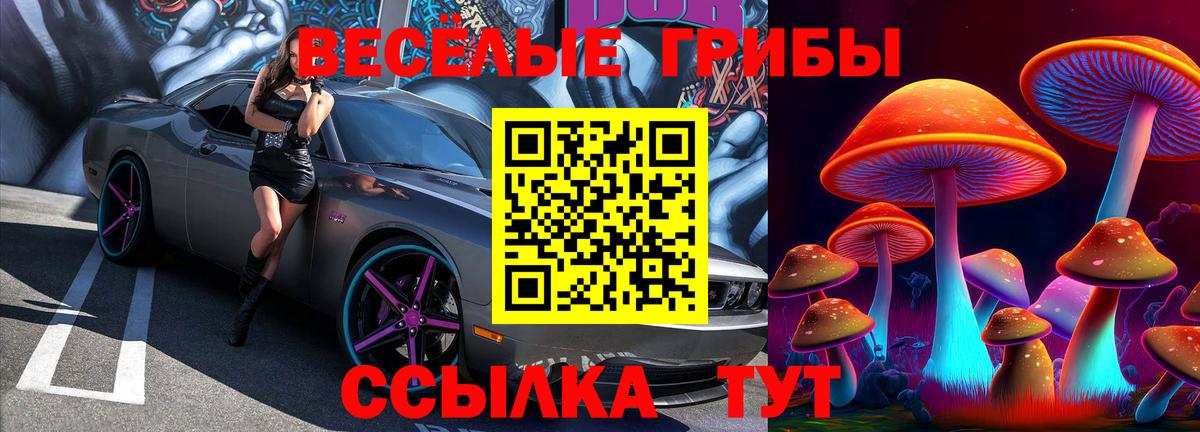Псилоцибиновые грибы Magic Shrooms Анжеро-Судженск