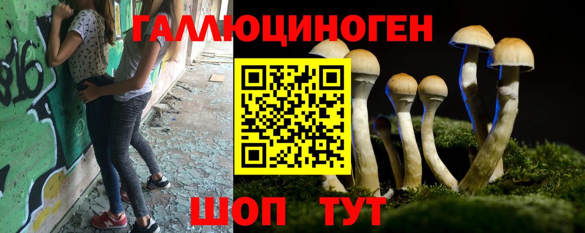 Галлюциногенные грибы Cubensis  Галлюциногенные грибы Psilocybe  дарнет шоп  Анжеро-Судженск 